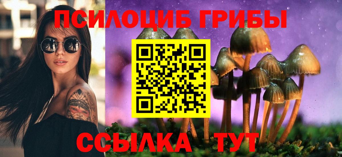 Псилоцибиновые грибы Magic Shrooms  Вход с VPN  Ковров 