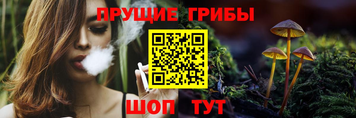 Галлюциногенные грибы прущие грибы Ковров