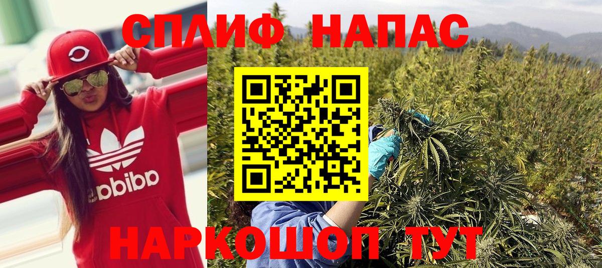 Бошки марихуана тримм  Вход с VPN  Ковров  МАРИХУАНА семена  МАРИХУАНА сатива 